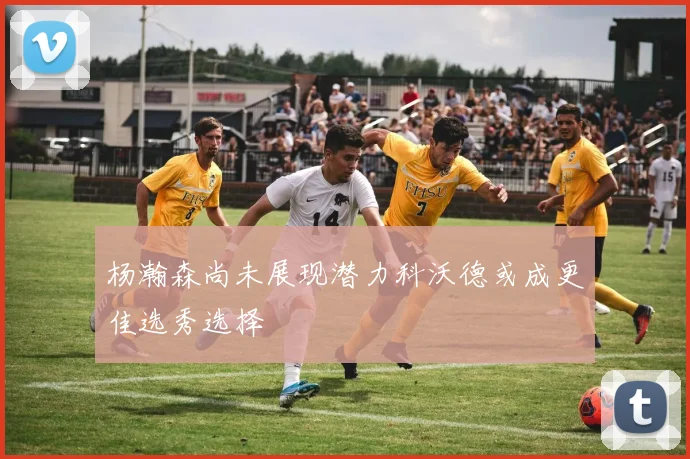 杨瀚森尚未展现潜力科沃德或成更佳选秀选择