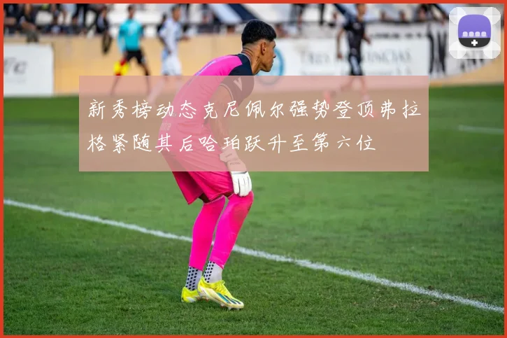 新秀榜动态克尼佩尔强势登顶弗拉格紧随其后哈珀跃升至第六位