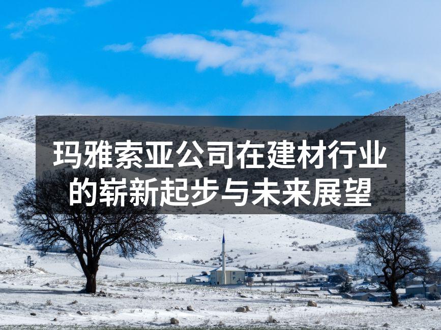 玛雅索亚公司在建材行业的崭新起步与未来展望