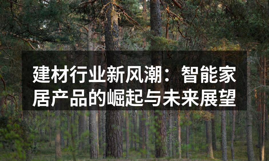 建材行业新风潮：智能家居产品的崛起与未来展望