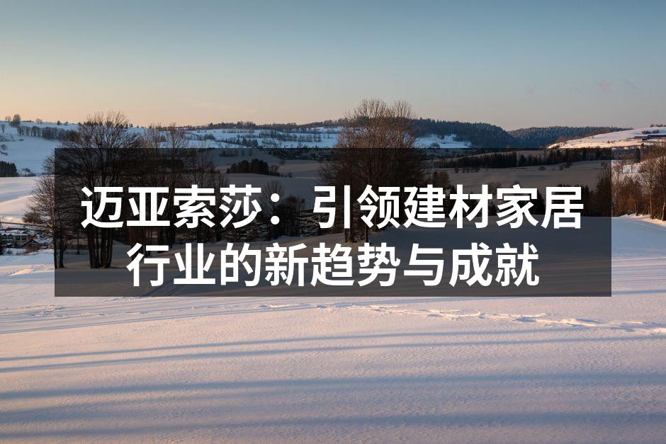 迈亚索莎：引领建材家居行业的新趋势与成就