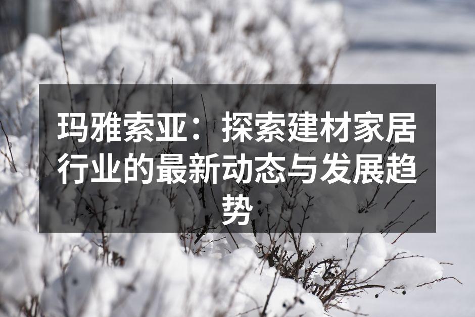 玛雅索亚：探索建材家居行业的最新动态与发展趋势