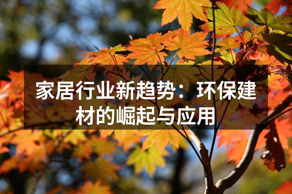 现代家居中的环保建材应用实例